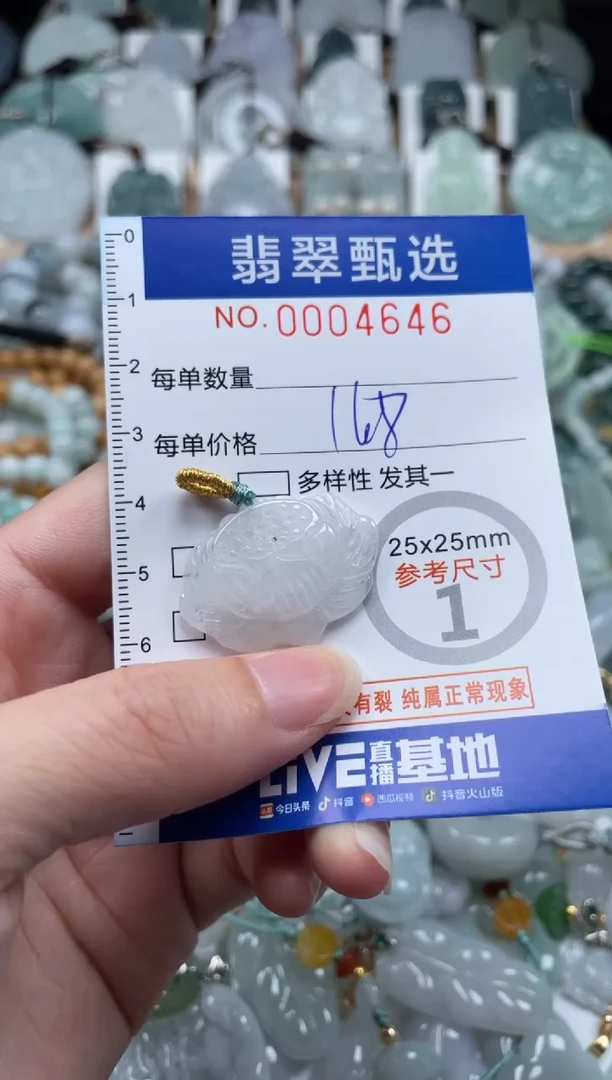 翡翠未镶嵌颈饰00..4646