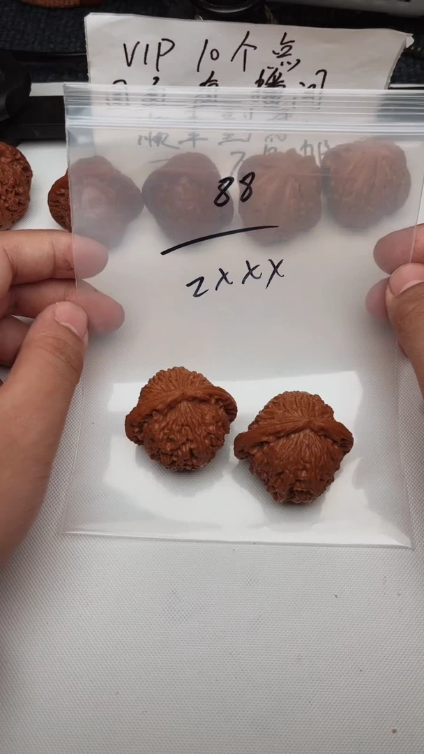文玩核桃把件Z**x0704教兽- Zxxx