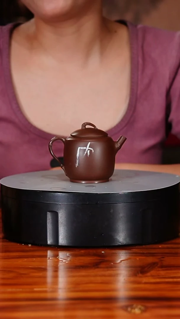 宜兴原矿紫砂壶茶壶100C