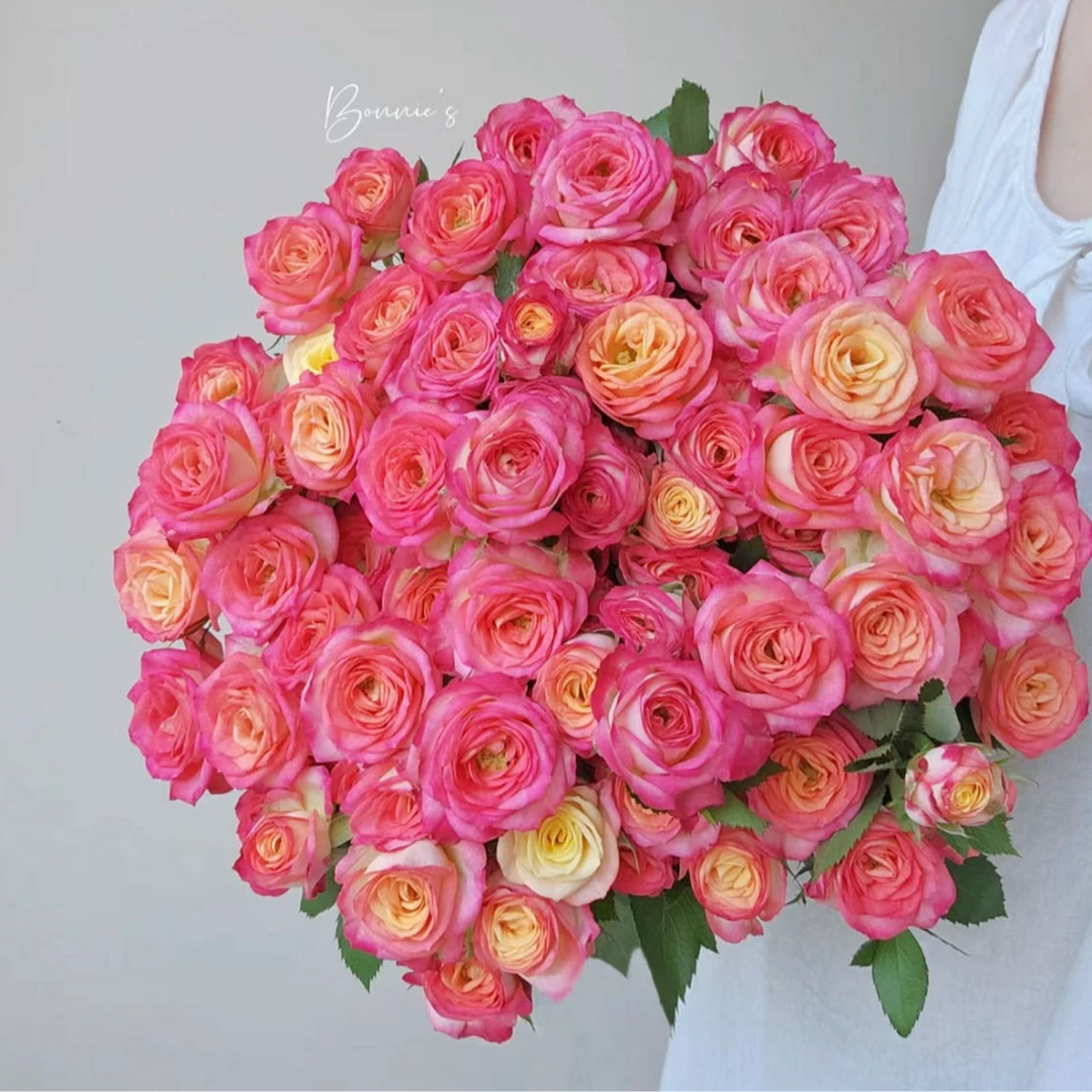 【小阿阮】A级 #爱丽丝#多头玫瑰花期长清新家庭鲜花顺丰直发