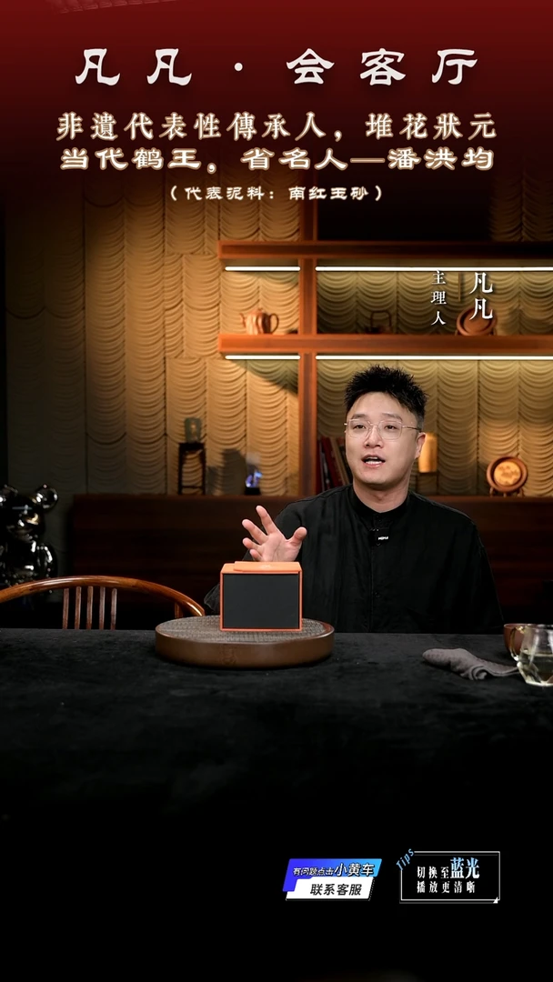 茶壶紫砂凡凡会客厅 紫砂壶02