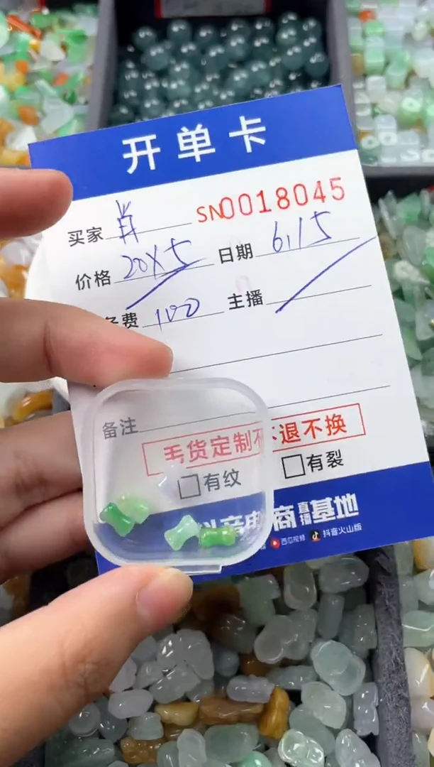 翡翠未镶嵌颈饰肖**菜00018045