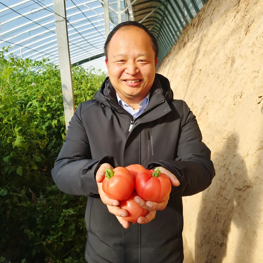 乐番优品（精品豫艺优五）果菜兼用 中通包邮