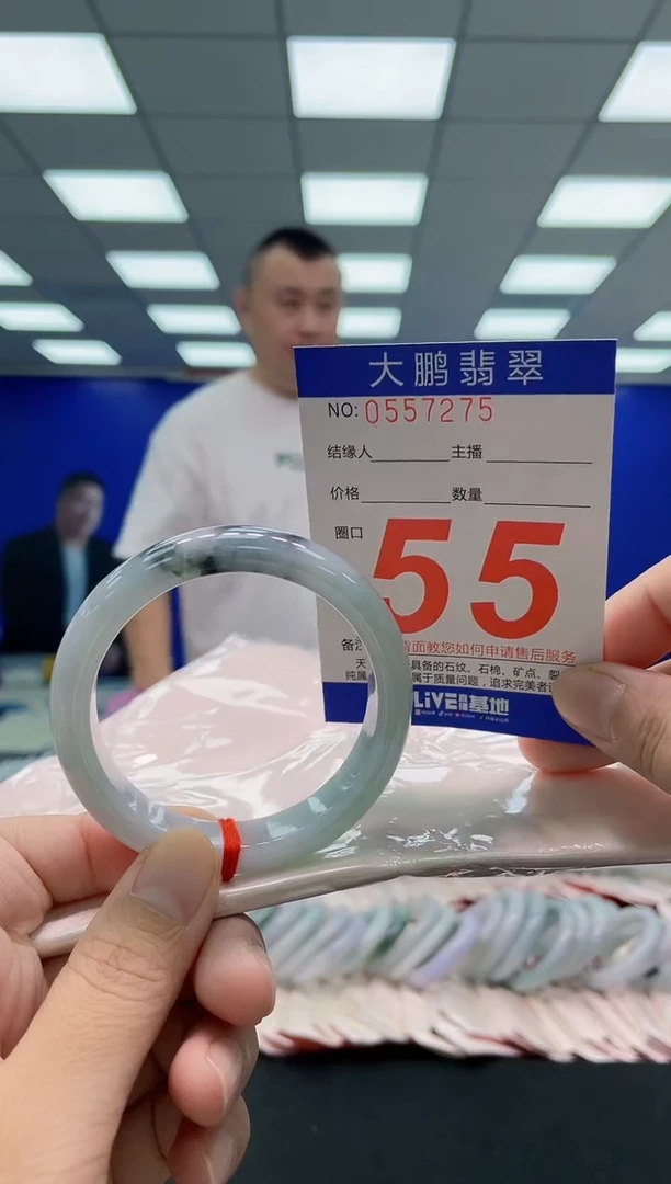 未镶嵌手镯翡翠AAAAAAAAA