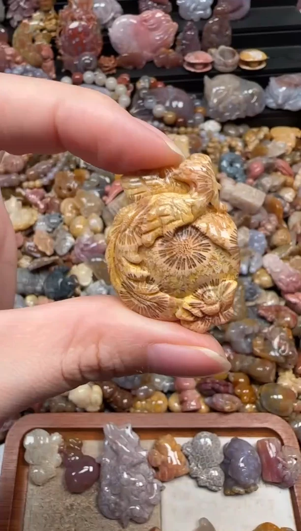 颈饰未镶嵌硅化珊瑚（珊瑚玉）376
