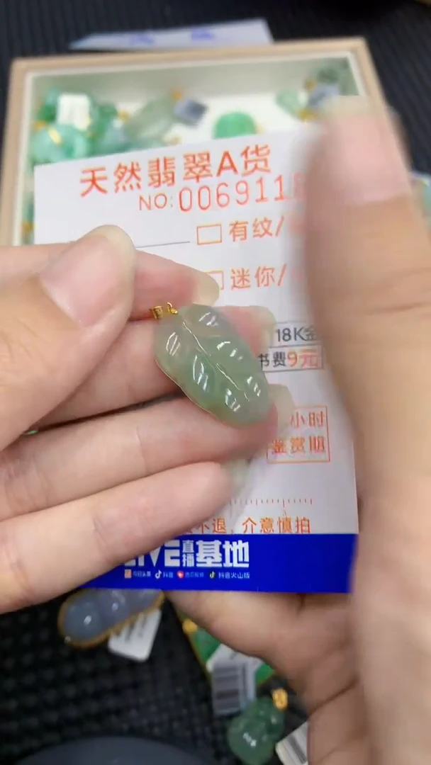 【闪购商品】翡翠颈饰18K金镶嵌            8