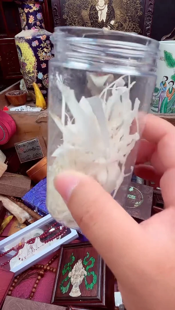 木琳专属哈哈哈哈哈哈哈哈哈