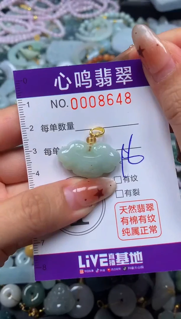 翡翠未镶嵌颈饰闪购008648