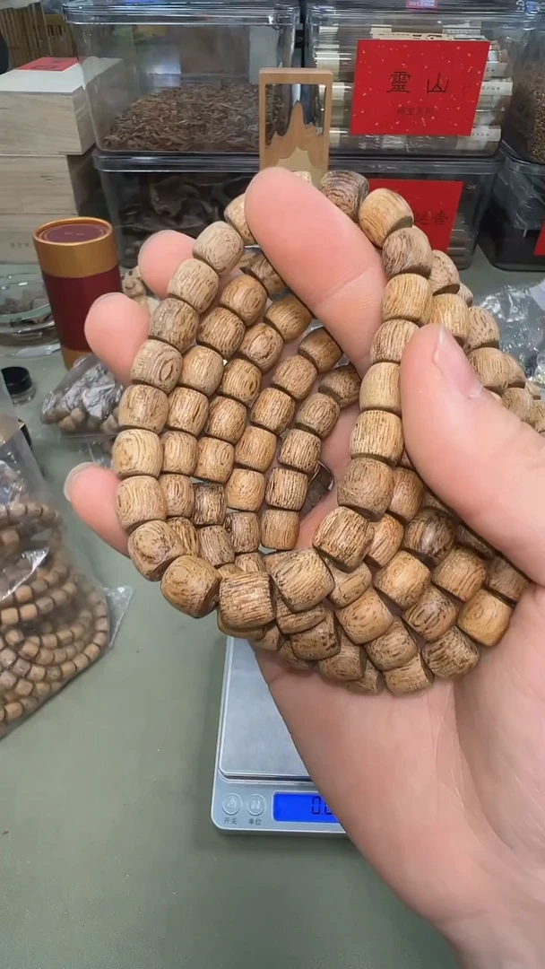 越南芽庄软丝桶珠单圈多样性发其一