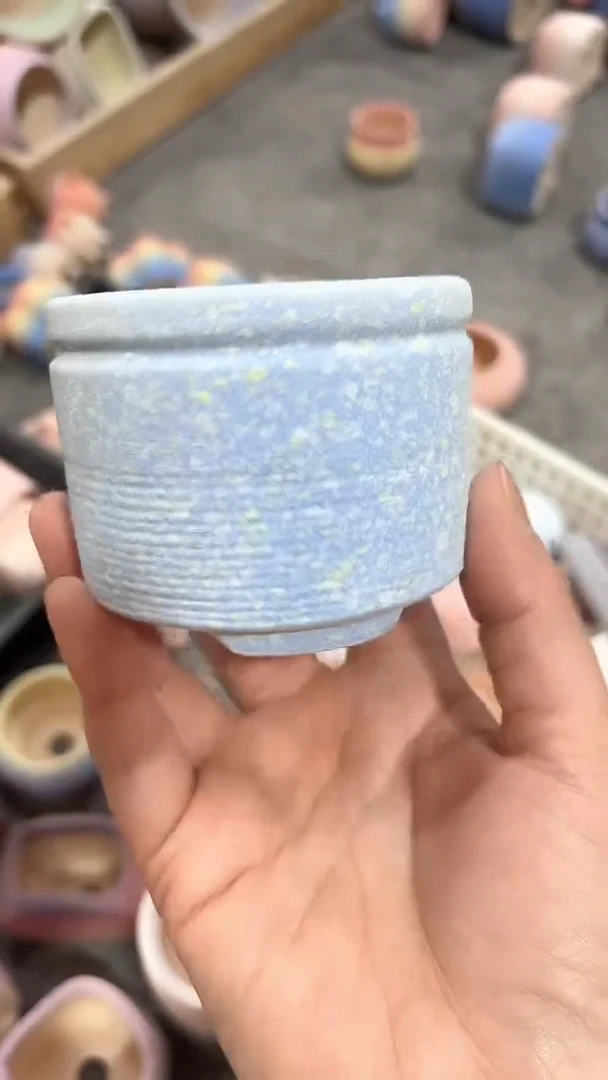 茵茵的欧气花园6*5
