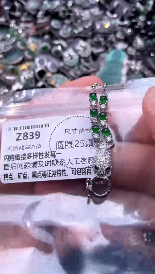 翡翠未镶嵌颈饰Z839项链