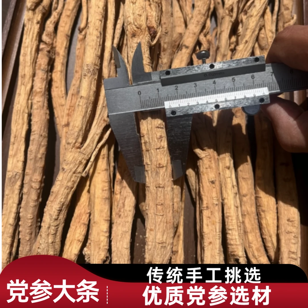甘肃白条党参大条原汁原味可搭配黄芪当归泡茶炖汤