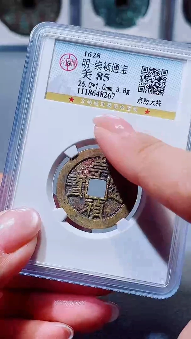 铜A033星杨公博崇祯通宝美京版大样一枚85分8267