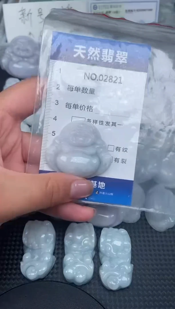 颈饰未镶嵌翡翠纯天然A货翡翠2821