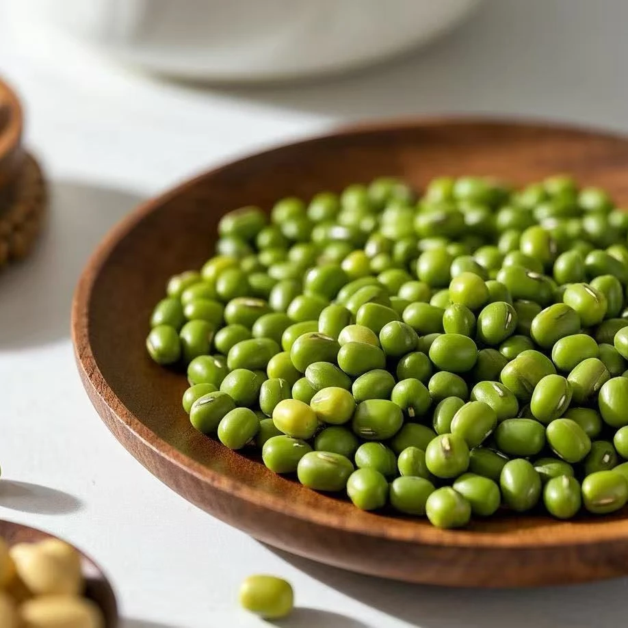 乐成奶奶专属 精选发绿豆芽绿豆3斤1500克芽苗菜种子