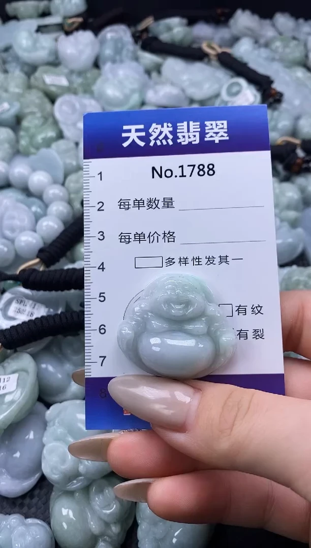 【闪购商品】翡翠颈饰未镶嵌缅甸A货翡翠1788