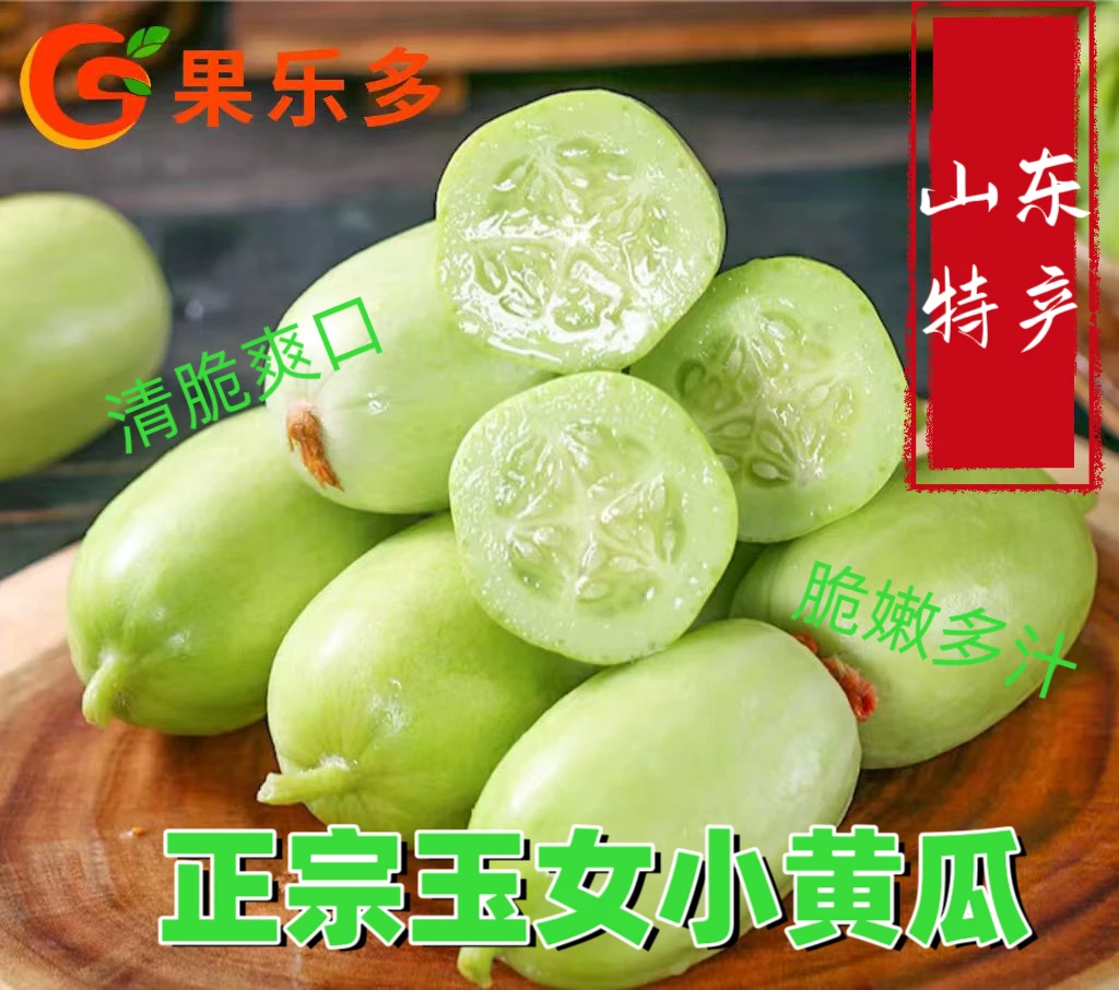 【果乐多】山东玉女水果黄瓜生吃黄瓜新鲜脆嫩健康蔬菜