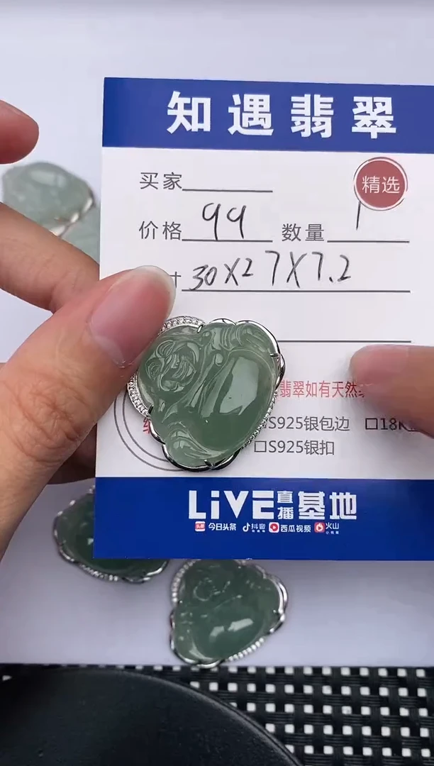 翡翠银S925镶嵌颈饰挂件