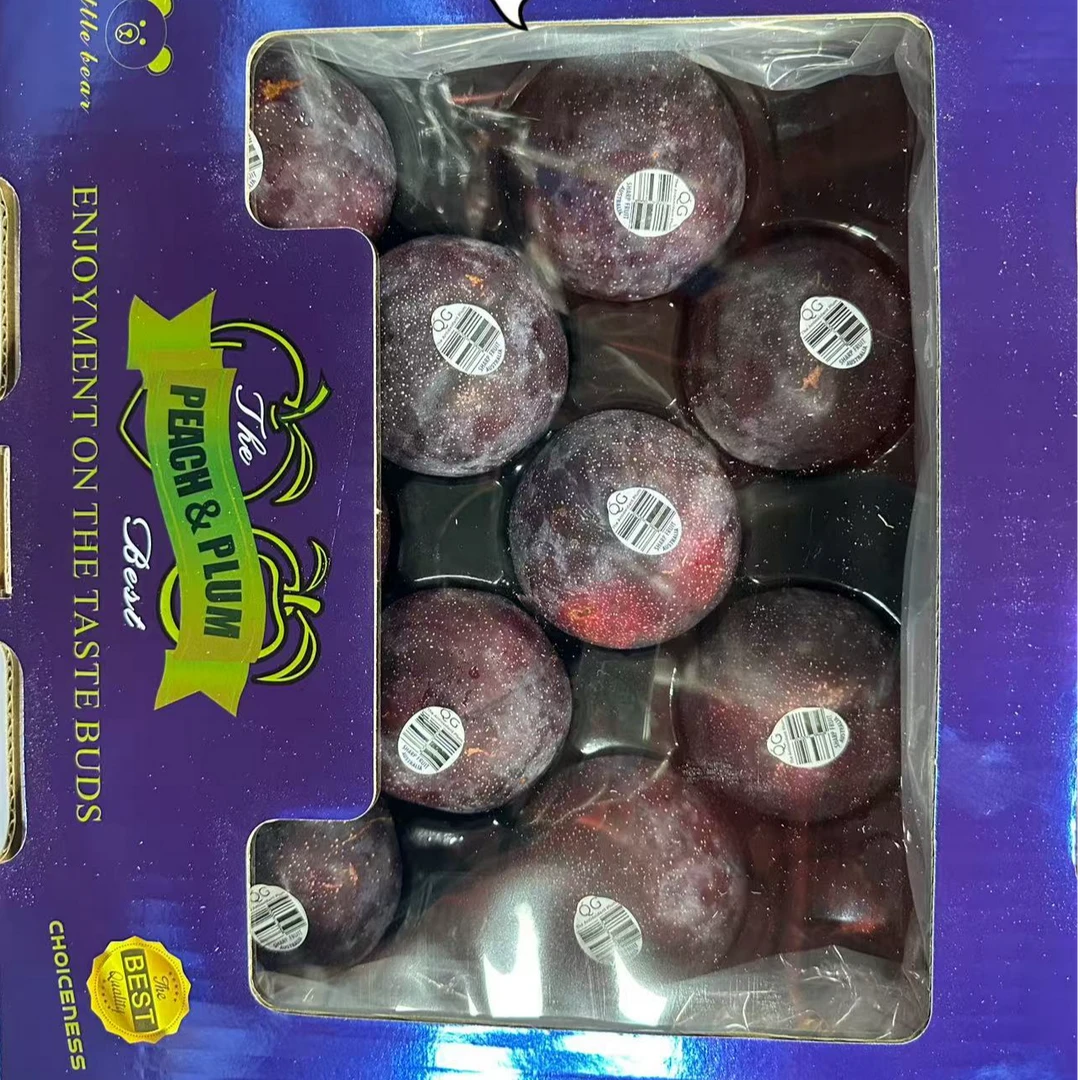 澳洲胭脂女王李新鲜恐龙蛋李子孕妇水果酸甜多汁