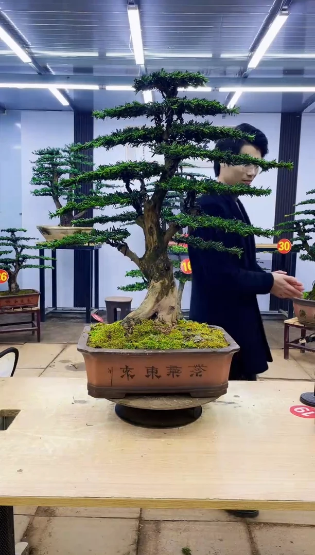 无花朵永****笑00000000000