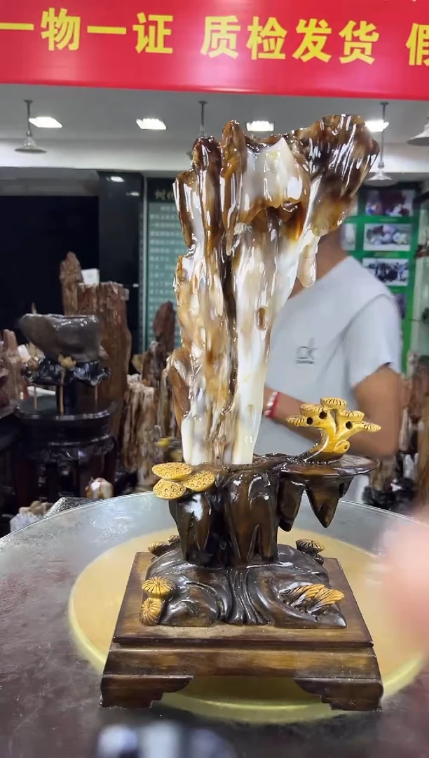 未镶嵌珠宝奇石硅化玉缅甸天然树化玉摆件