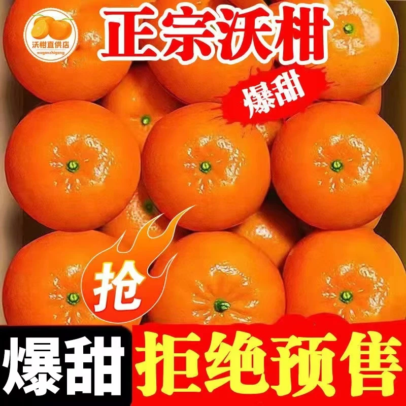 Y【果园直发】云南高山新鲜沃柑应季薄皮新鲜水果橘子纯正农产品
