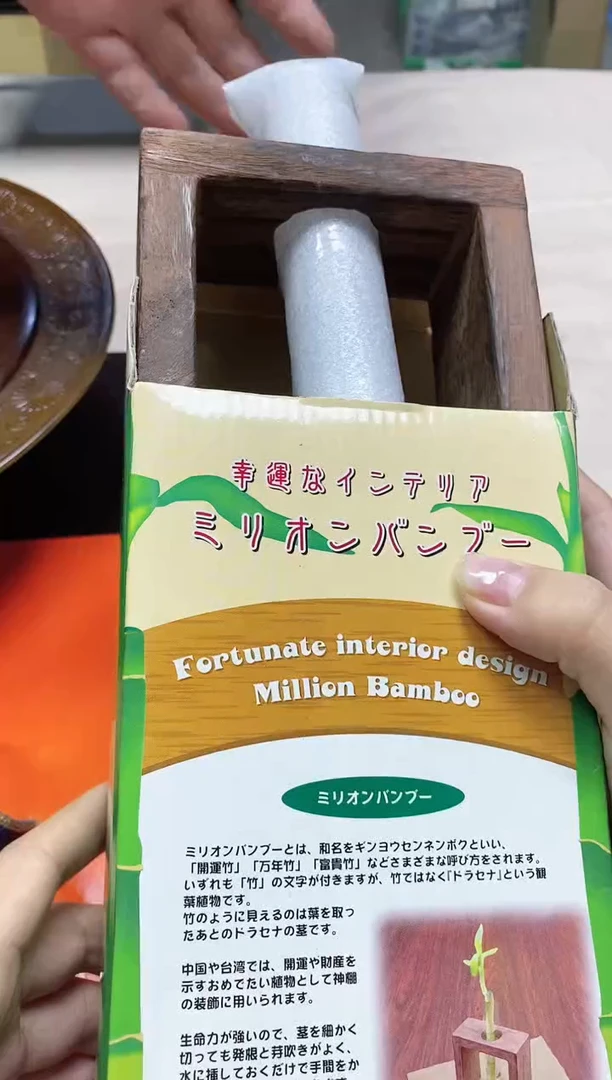 【闪购商品】/459精美瓷器感谢选购