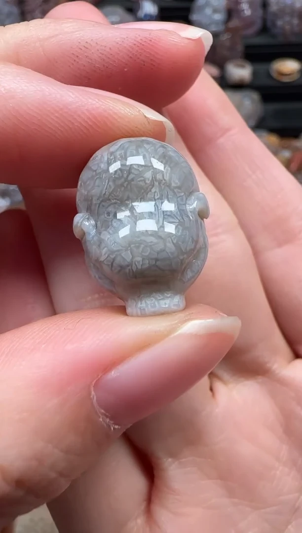 颈饰未镶嵌硅化珊瑚（珊瑚玉）756