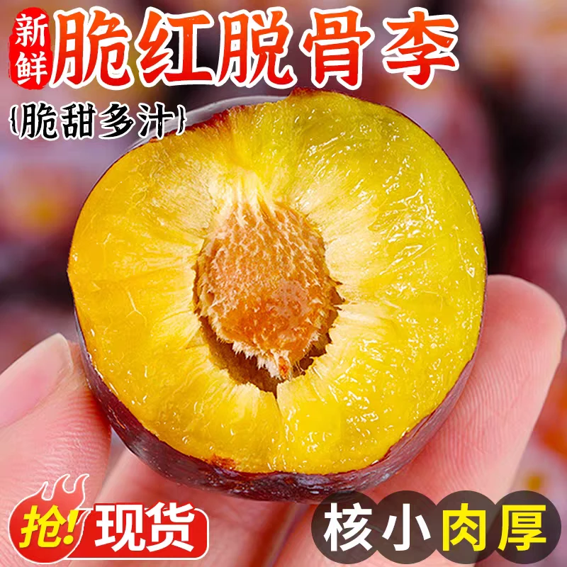 【果王更大更好】四川汶川高山脱骨脆红李新鲜现摘当季水果脆甜多汁