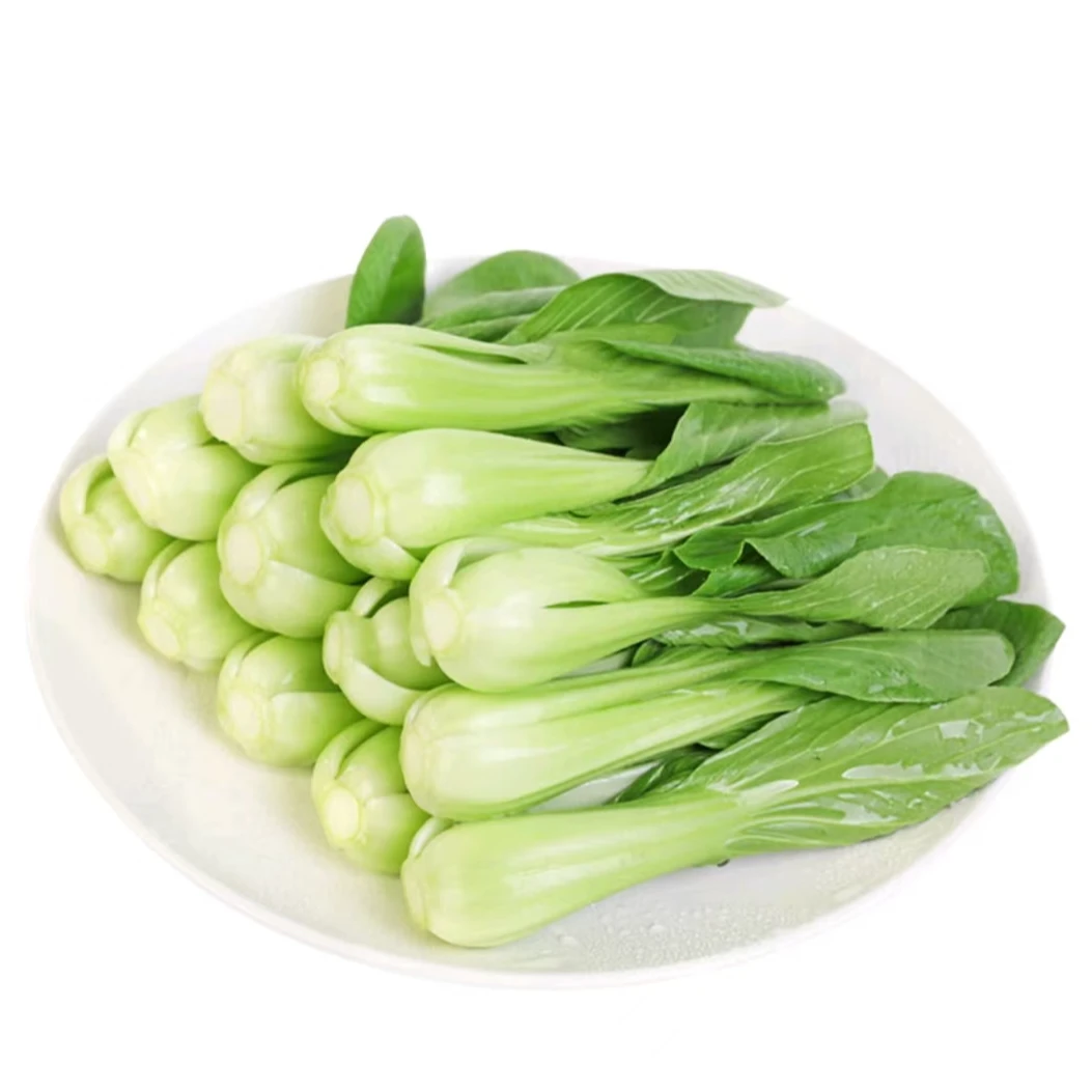 【会员商店】上海青苗600g