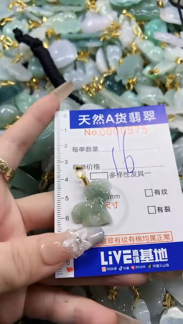 颈饰未镶嵌翡翠天然A货翡翠