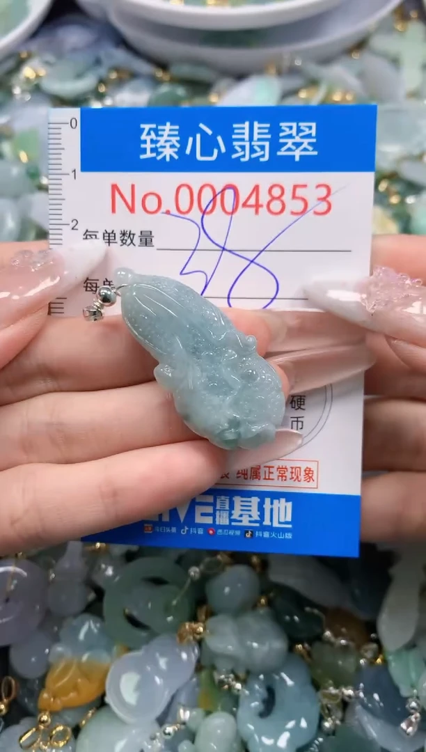 翡翠未镶嵌吊坠(不含链)4853