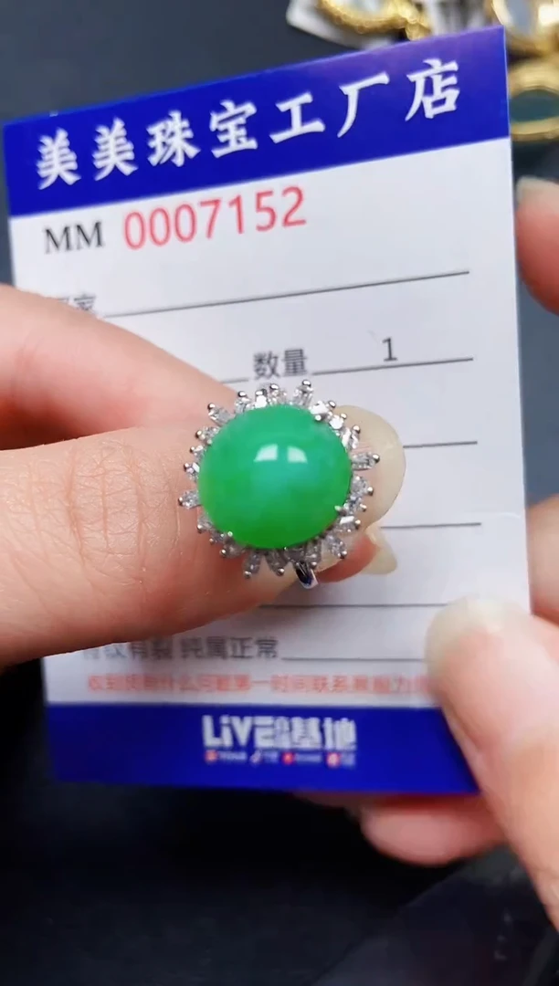 翡翠银S925镶嵌颈饰7152