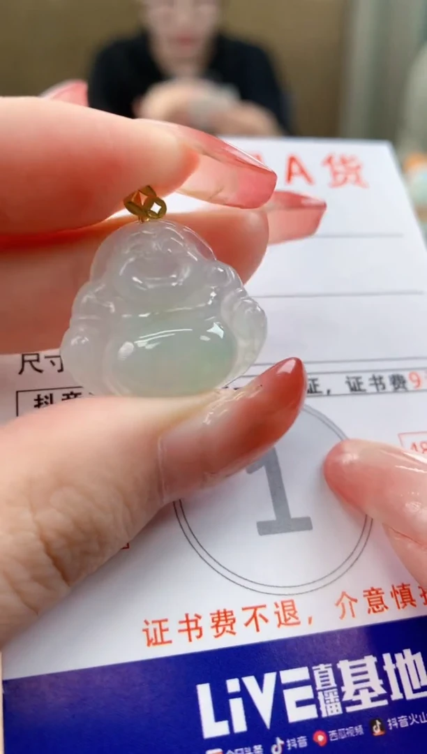 颈饰未镶嵌翡翠天然A货翡翠挂件
