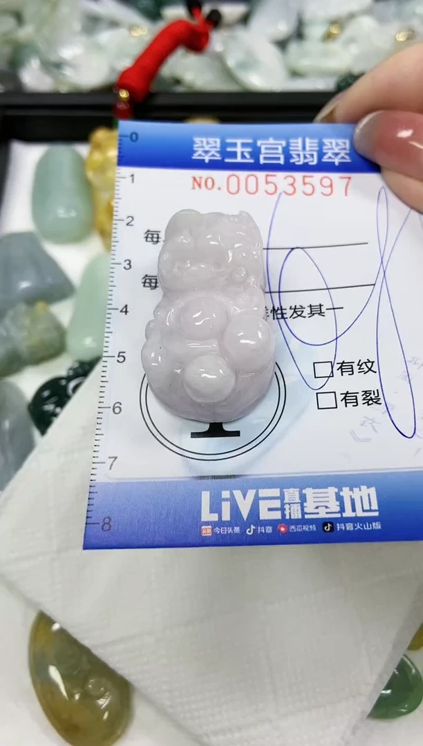 【闪购商品】翡翠颈饰未镶嵌闪购0053597