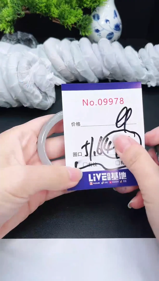 未镶嵌手镯翡翠9978