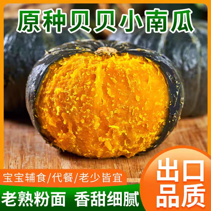 【疆外】正宗贝贝南瓜粉糯香甜板栗味新鲜现摘宝宝辅食蔬菜