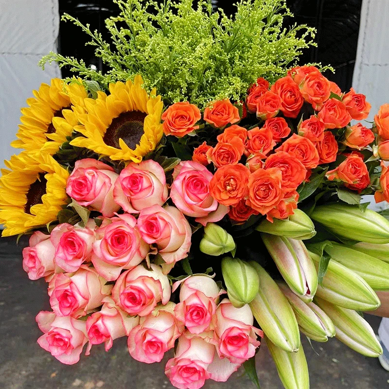 云南昆明斗南基地直发玫瑰花鲜花花束艾莎向日葵水养真花插花