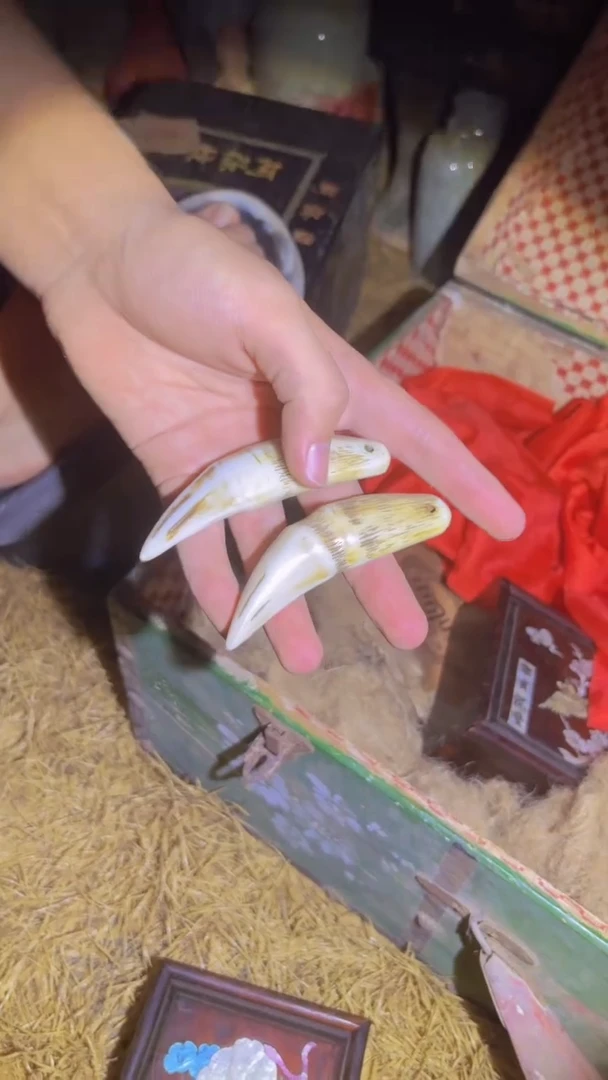 哈哈哈哈哈哈哈哈哈