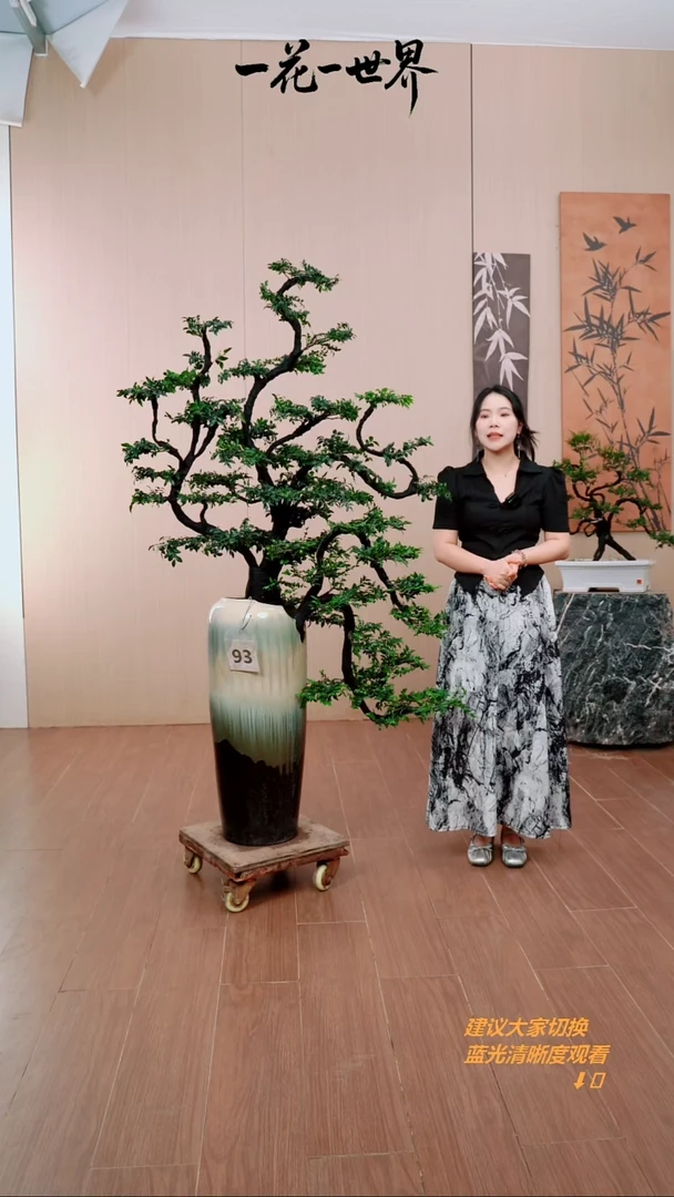 完全开放D****e93号链接