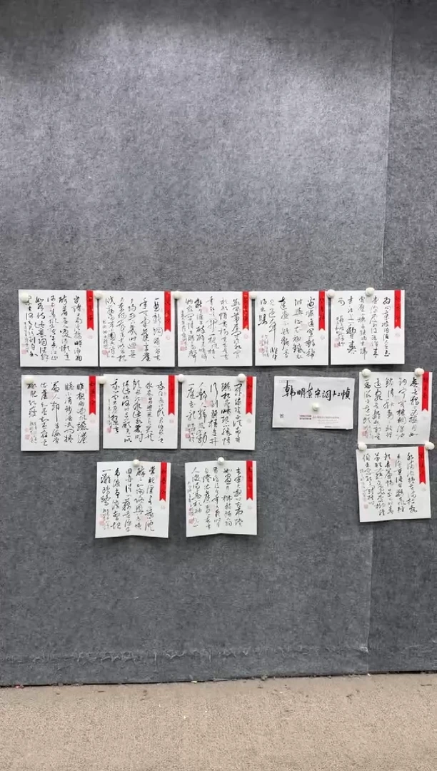 【闪购商品】书法pmw不二轩旗舰店书法HMD1