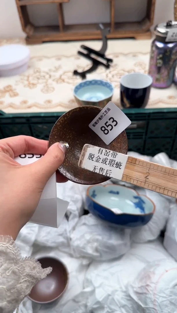 【闪购商品】瓷片A           853