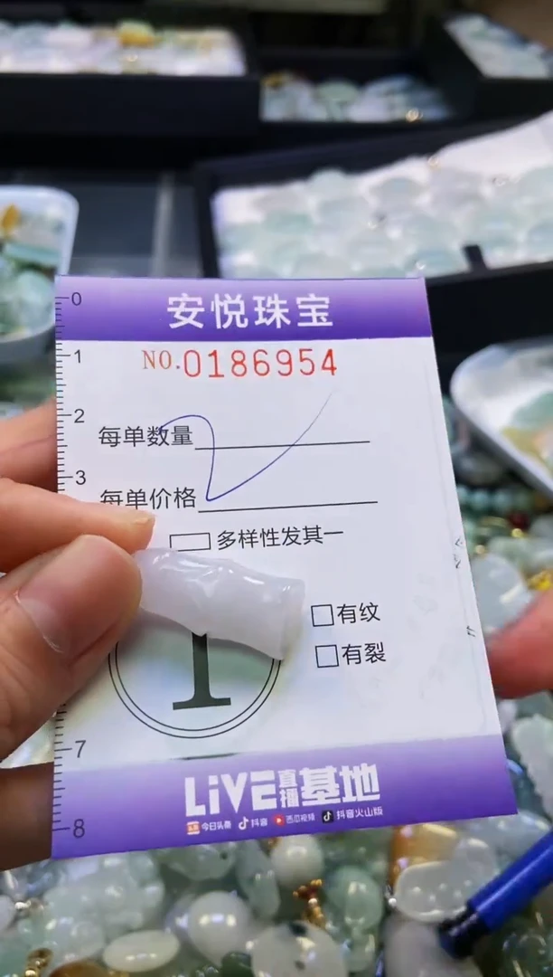 翡翠未镶嵌颈饰闪购0186954