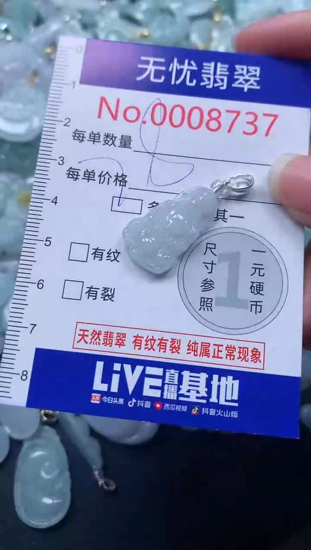 颈饰未镶嵌翡翠8737