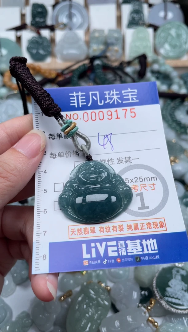 翡翠未镶嵌颈饰00..9175