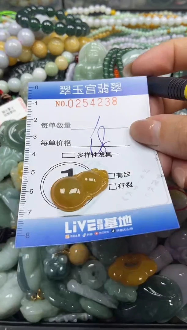 颈饰未镶嵌翡翠闪购C0254238