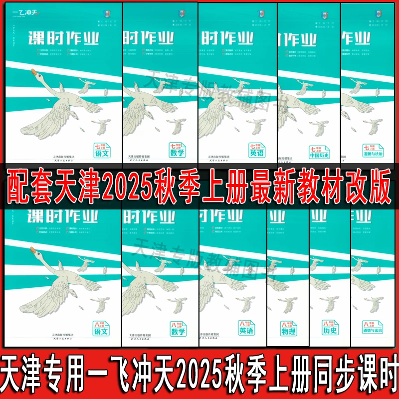 一飞冲天天津2025秋初中上册七年级八年级课时作业九年级同步训练