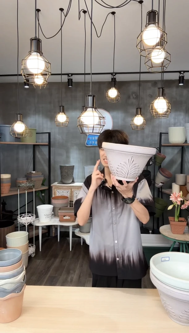 小号帕姆咖啡色3只带托