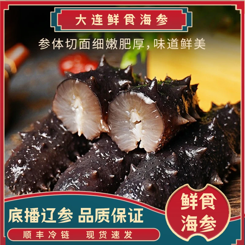 【15--20头】鲜食海参大连海参底播参辽刺参速食冷链发货