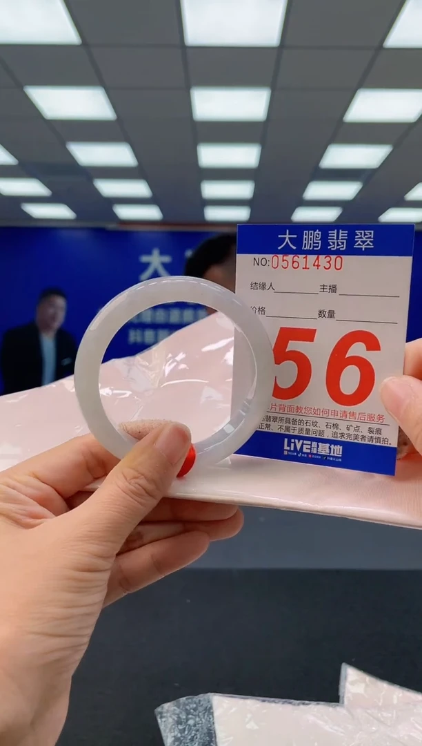 未镶嵌手镯翡翠 AAAAAAAAAA
